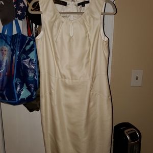 Brooks Brothers Dress